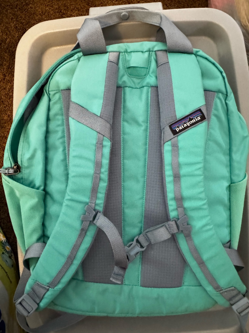 Patagonia Gray and Mint Green Everyday Backpack - Picture 6 of 8